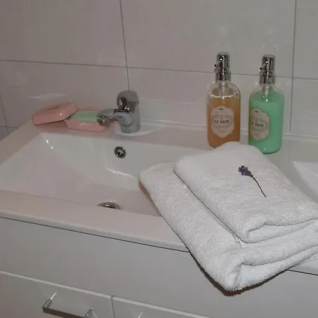 Oliva Lozica Apartment *