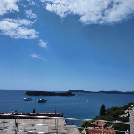 Oliva Lozica *