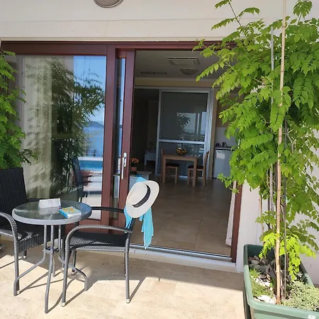 Oliva Lozica * Ντουμπρόβνικ